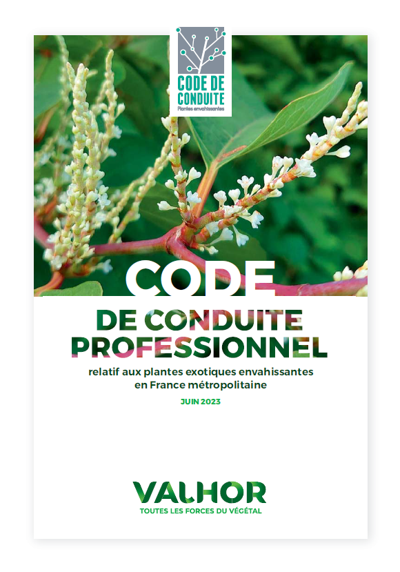 Le code de conduite professionnel relatif aux plantes exotiques envahissantes fait peau neuve